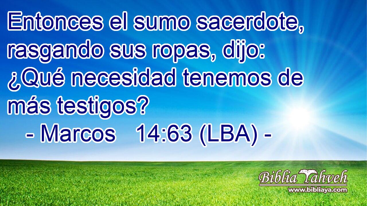 Entonces el sumo sacerdote, rasgando sus ropas, dijo: ¿Qué necesidad tenemos de más testigos?