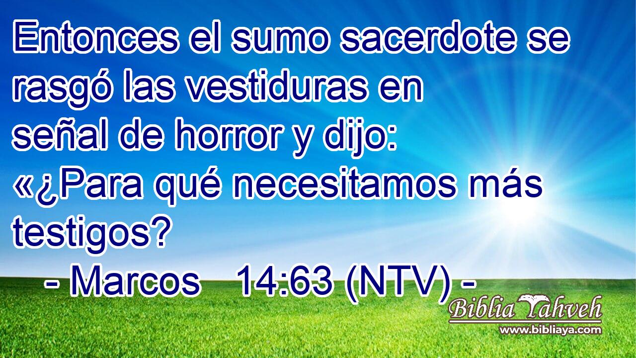 Entonces el sumo sacerdote se rasgó las vestiduras en señal de horror y dijo: «¿Para qué necesitamos más testigos?
