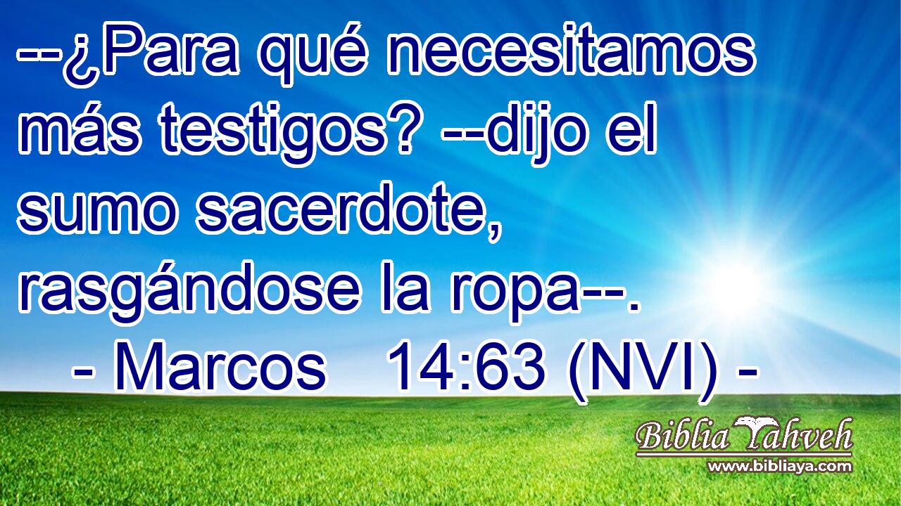 --¿Para qué necesitamos más testigos? --dijo el sumo sacerdote, rasgándose la ropa--. 
