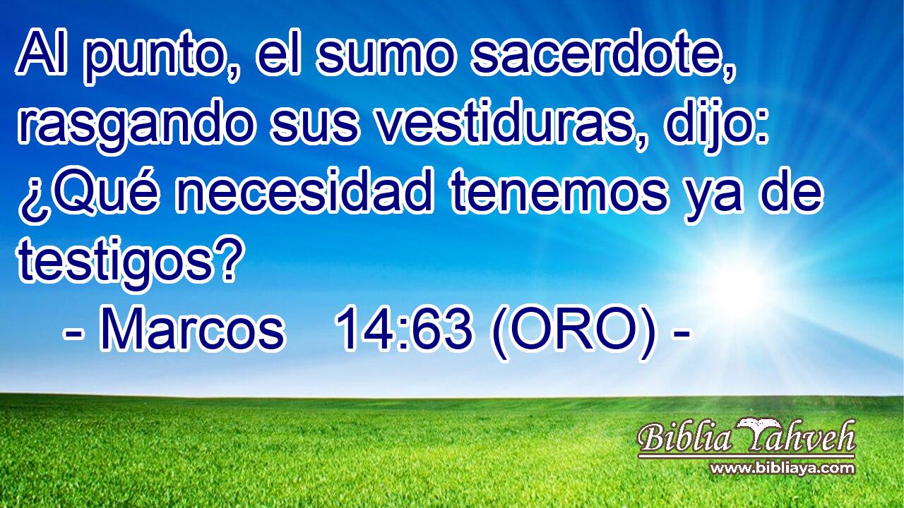  Al punto, el sumo sacerdote, rasgando sus vestiduras, dijo: ¿Qué necesidad tenemos ya de testigos? 