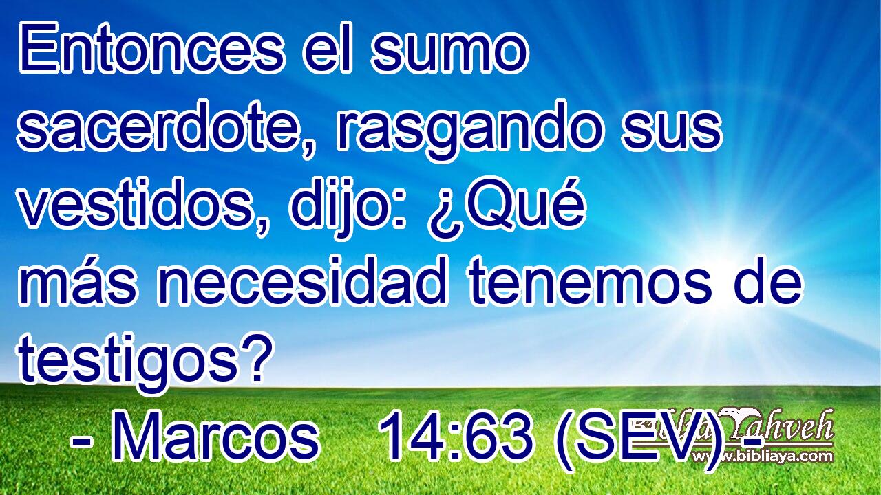 Entonces el sumo sacerdote, rasgando sus vestidos, dijo: ¿Qué más necesidad tenemos de testigos?