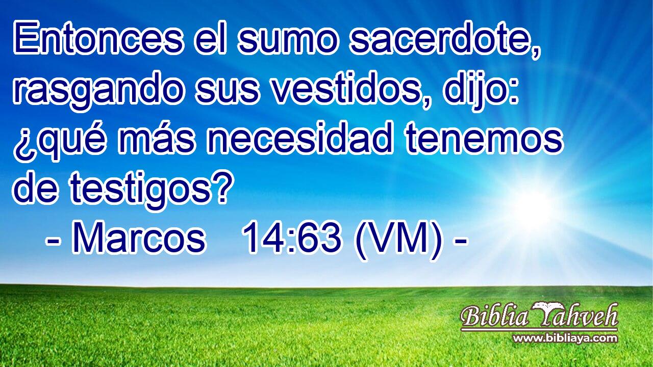  Entonces el sumo sacerdote, rasgando sus vestidos, dijo: ¿qué más necesidad tenemos de testigos? 