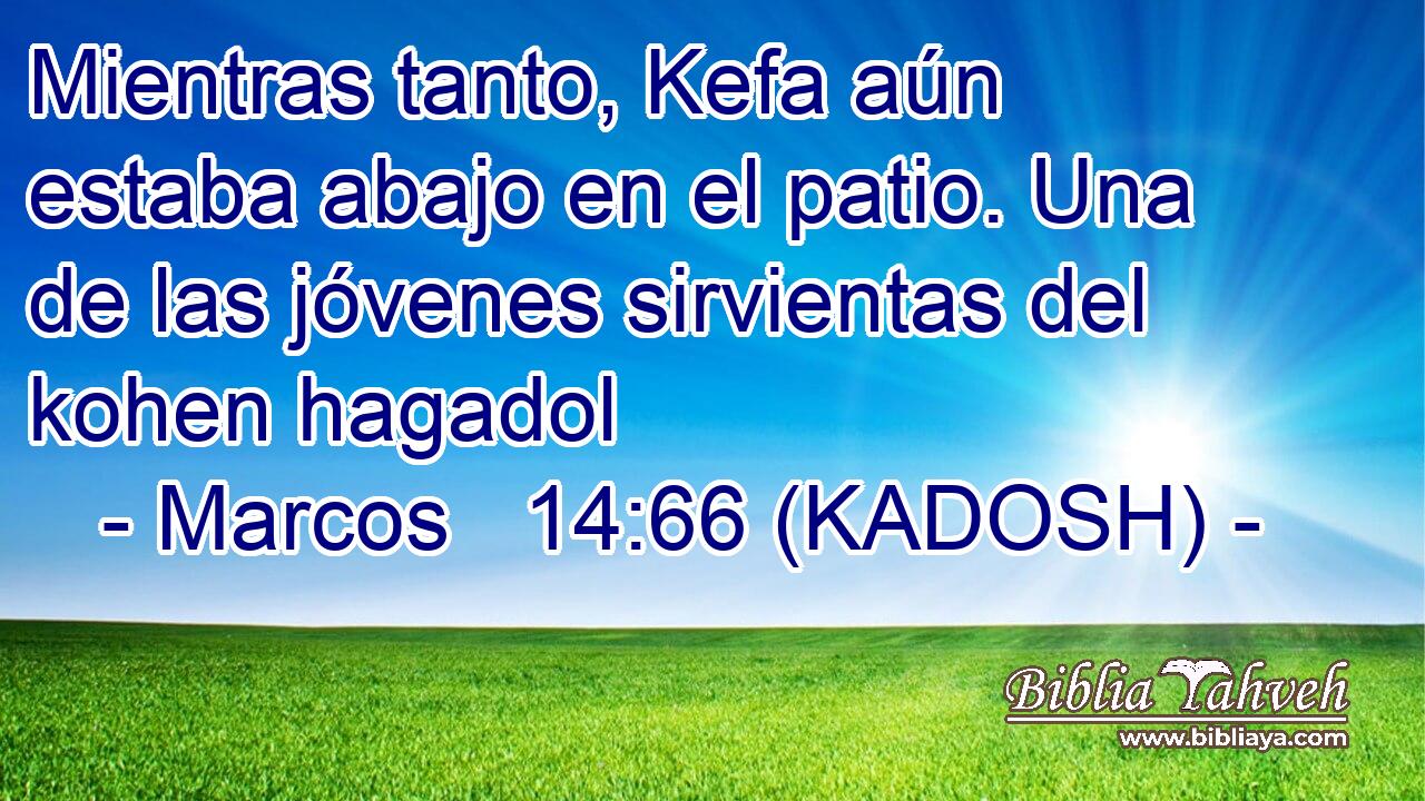  Mientras tanto, Kefa aún estaba abajo en el patio. Una de las jóvenes sirvientas del kohen hagadol 
