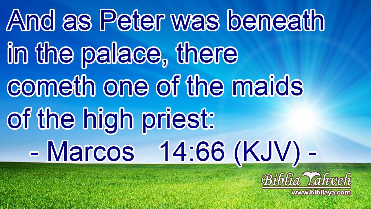 And as Peter was beneath in the palace, there cometh one of the maids of the high priest: