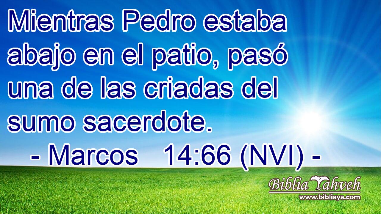  Mientras Pedro estaba abajo en el patio, pasó una de las criadas del sumo sacerdote. 