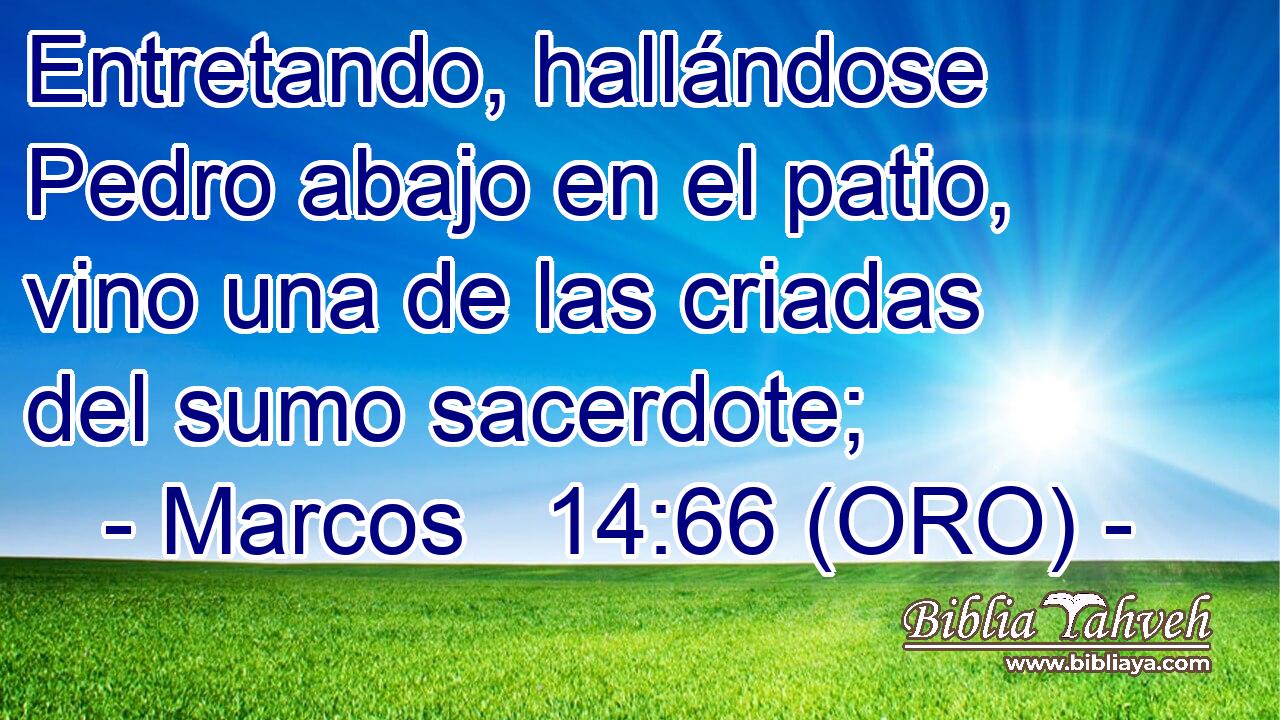  Entretando, hallándose Pedro abajo en el patio, vino una de las criadas del sumo sacerdote; 