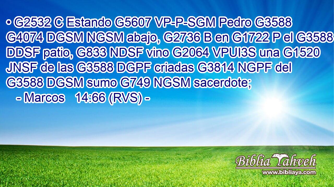 • G2532 C Estando G5607 VP-P-SGM Pedro G3588 G4074 DGSM NGSM abajo, G2736 B en G1722 P el G3588 DDSF patio, G833 NDSF vino G2064 VPUI3S una G1520 JNSF de las G3588 DGPF criadas G3814 NGPF del G3588 DGSM sumo G749 NGSM sacerdote; 