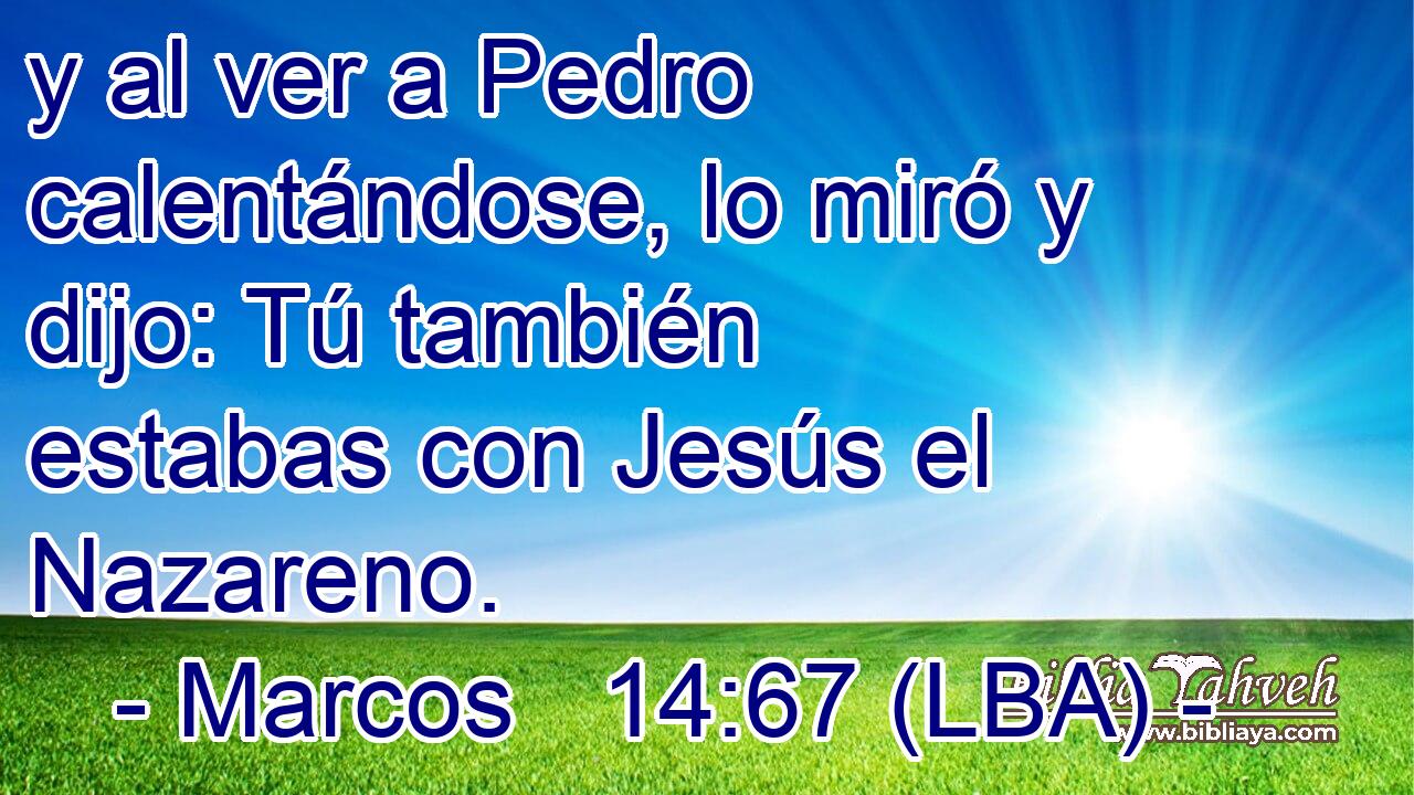 y al ver a Pedro calentándose, lo miró y dijo: Tú también estabas con Jesús el Nazareno.