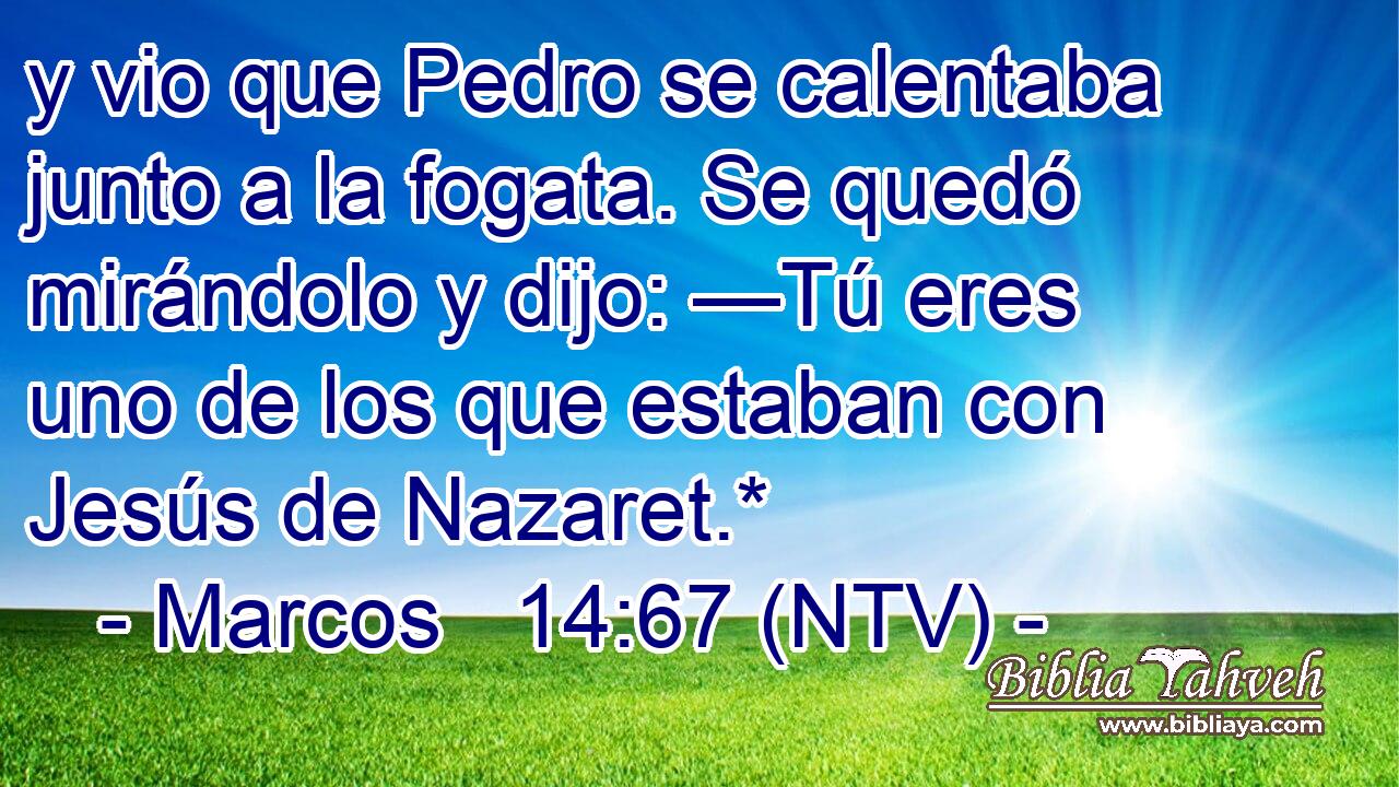 y vio que Pedro se calentaba junto a la fogata. Se quedó mirándolo y dijo: —Tú eres uno de los que estaban con Jesús de Nazaret.*