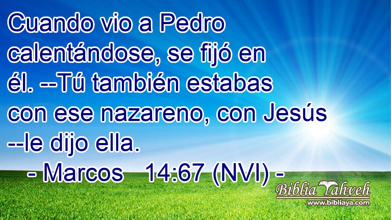  Cuando vio a Pedro calentándose, se fijó en él. --Tú también estabas con ese nazareno, con Jesús --le dijo ella. 