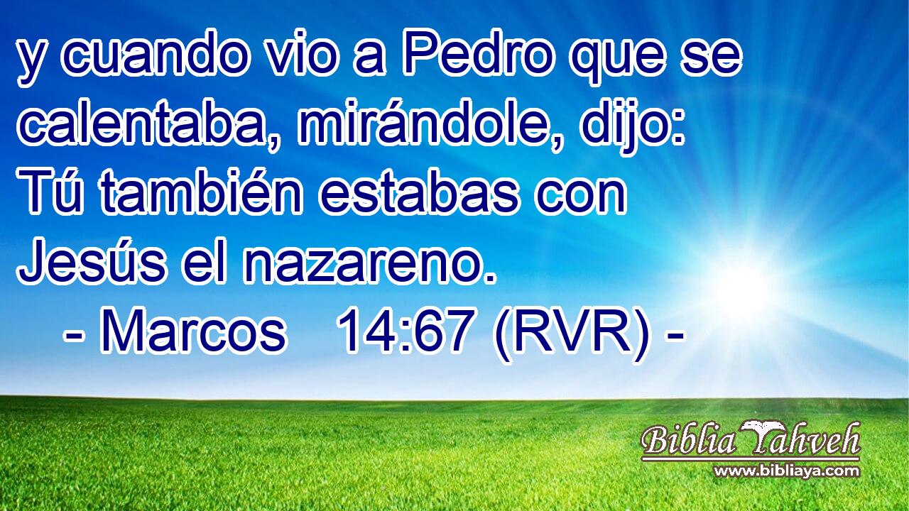 y cuando vio a Pedro que se calentaba, mirándole, dijo: Tú también estabas con Jesús el nazareno.