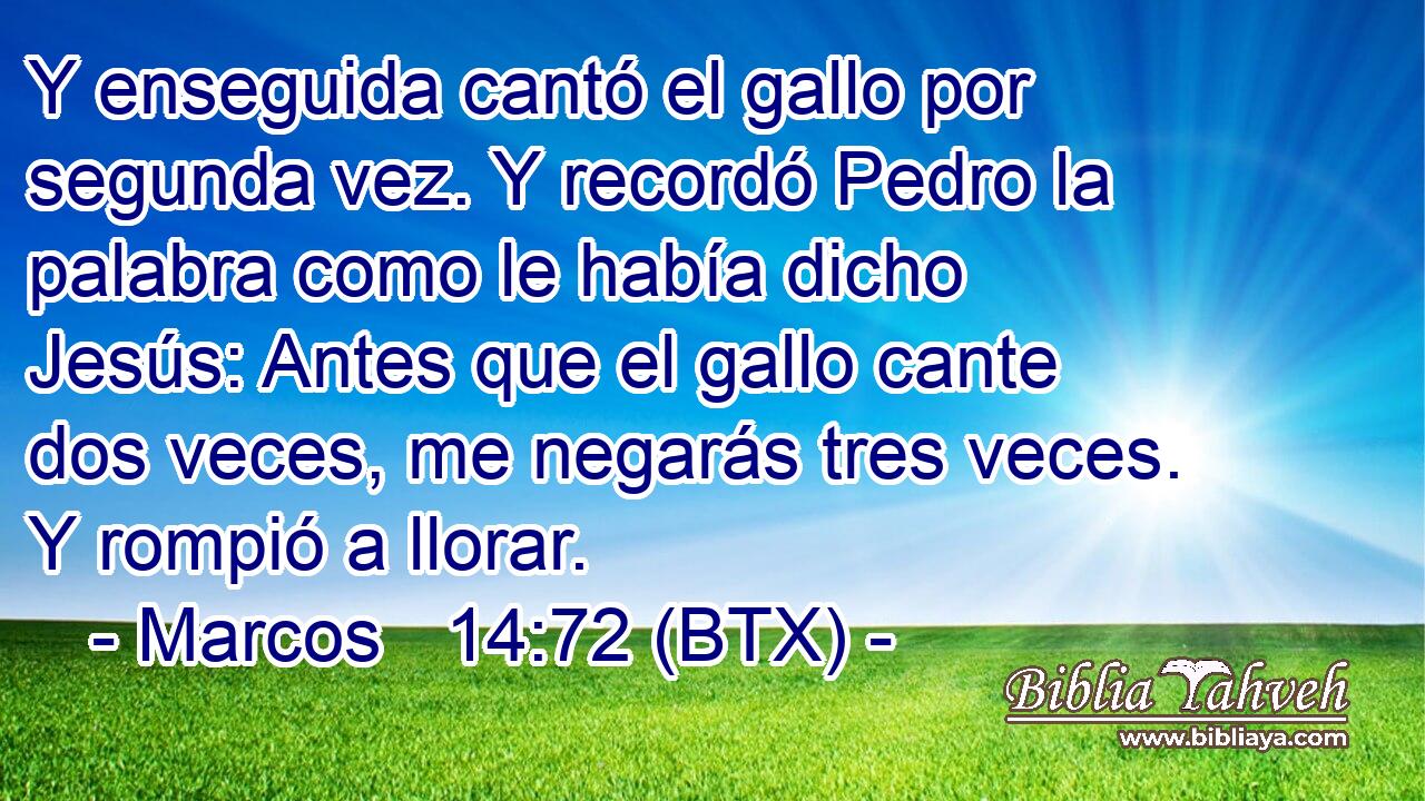 Y enseguida cantó el gallo por segunda vez. Y recordó Pedro la palabra como le había dicho Jesús: Antes que el gallo cante dos veces, me negarás tres veces. Y rompió a llorar.