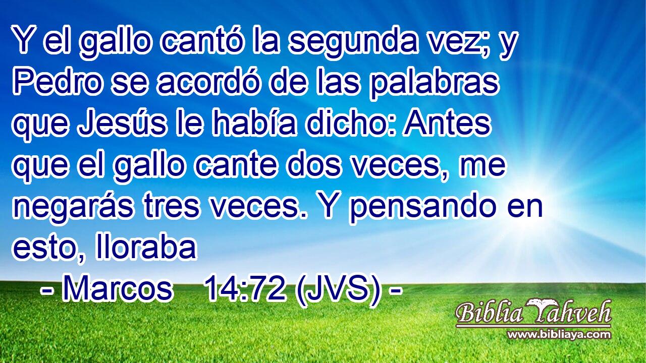 Y el gallo cantó la segunda vez; y Pedro se acordó de las palabras que Jesús le había dicho: Antes que el gallo cante dos veces, me negarás tres veces. Y pensando en esto, lloraba