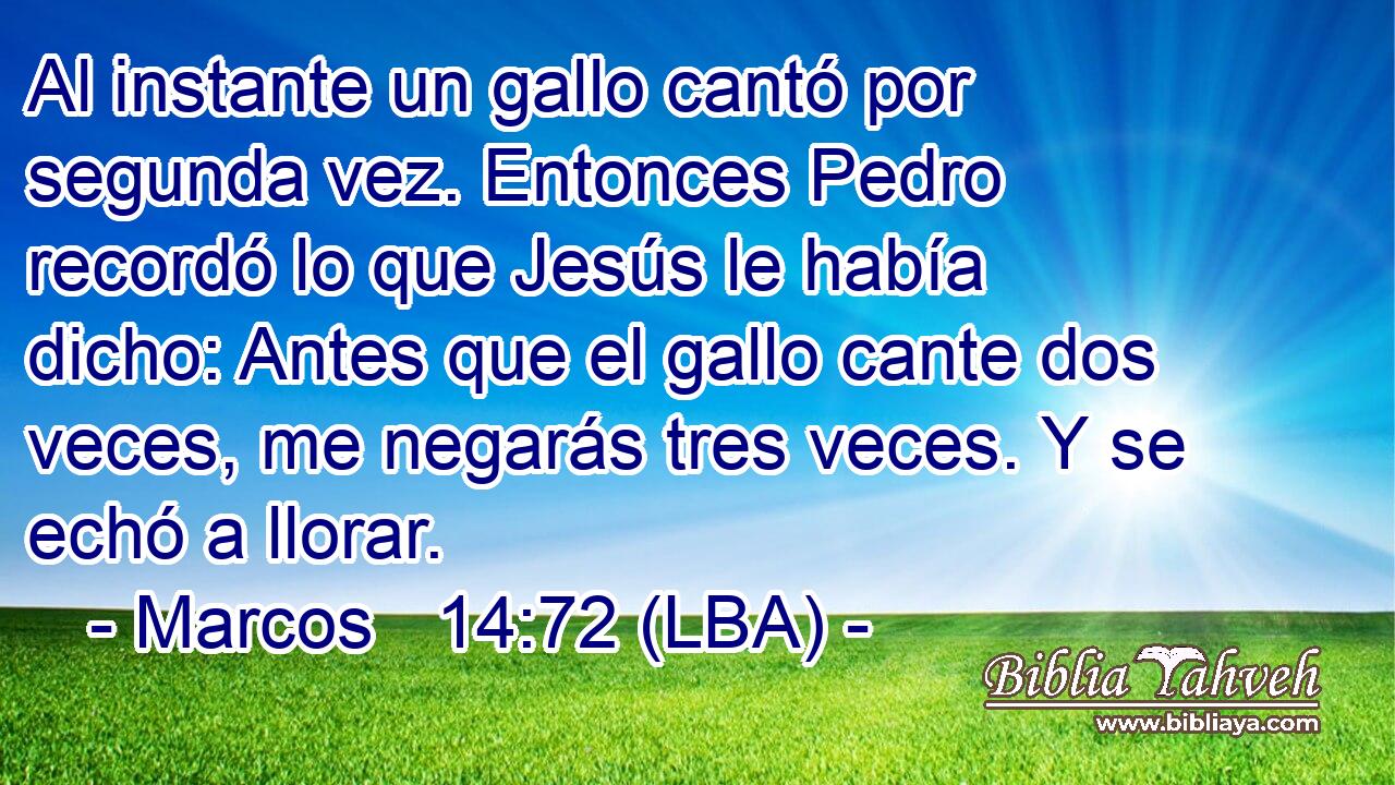 Al instante un gallo cantó por segunda vez. Entonces Pedro recordó lo que Jesús le había dicho: Antes que el gallo cante dos veces, me negarás tres veces. Y se echó a llorar.