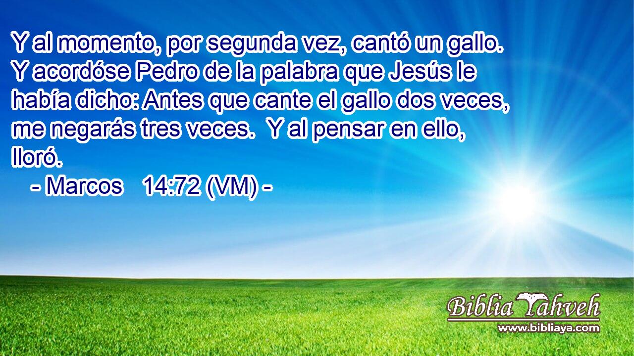  Y al momento, por segunda vez, cantó un gallo.  Y acordóse Pedro de la palabra que Jesús le había dicho: Antes que cante el gallo dos veces, me negarás tres veces.  Y al pensar en ello, lloró. 