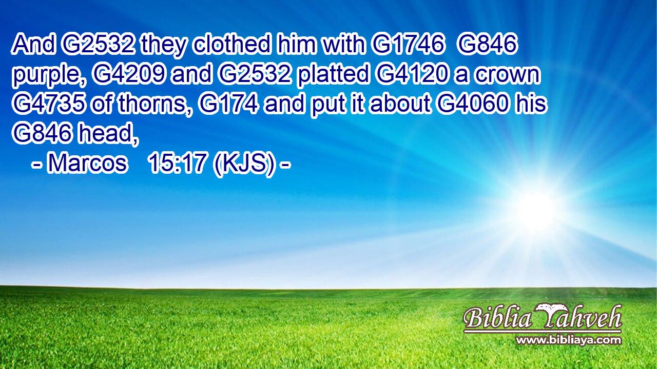 And G2532 they clothed him with G1746  G846 purple, G4209 and G2532 platted G4120 a crown G4735 of thorns, G174 and put it about G4060 his G846 head,