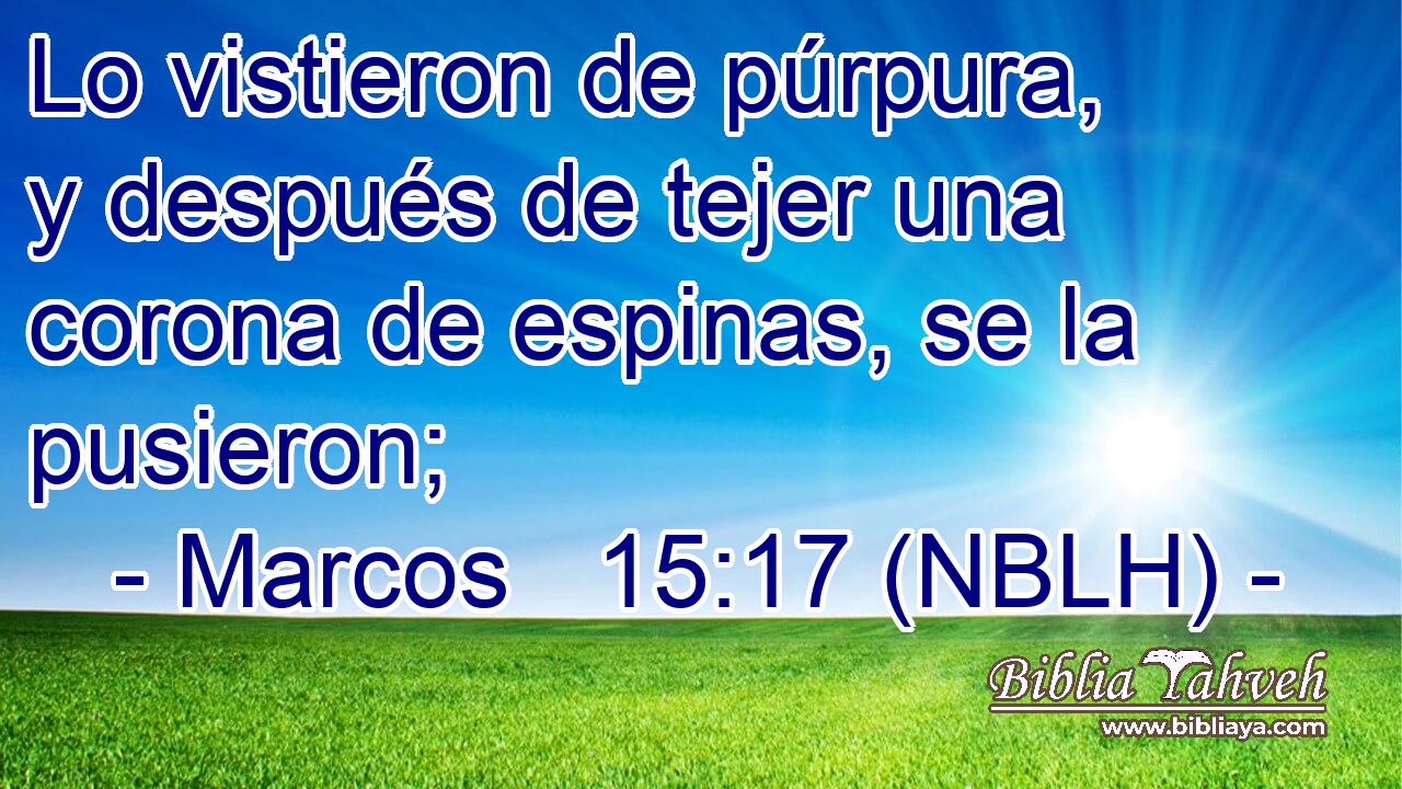  Lo vistieron de púrpura, y después de tejer una corona de espinas, se la pusieron; 