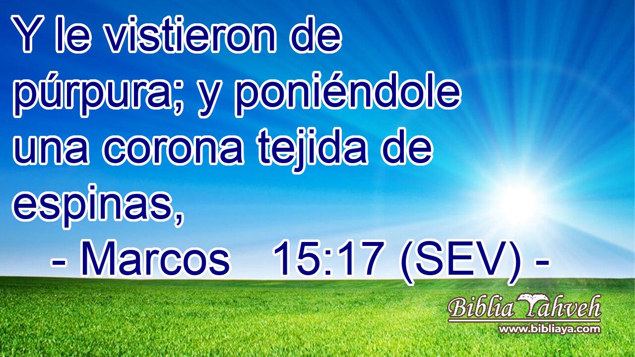 Y le vistieron de púrpura; y poniéndole una corona tejida de espinas,