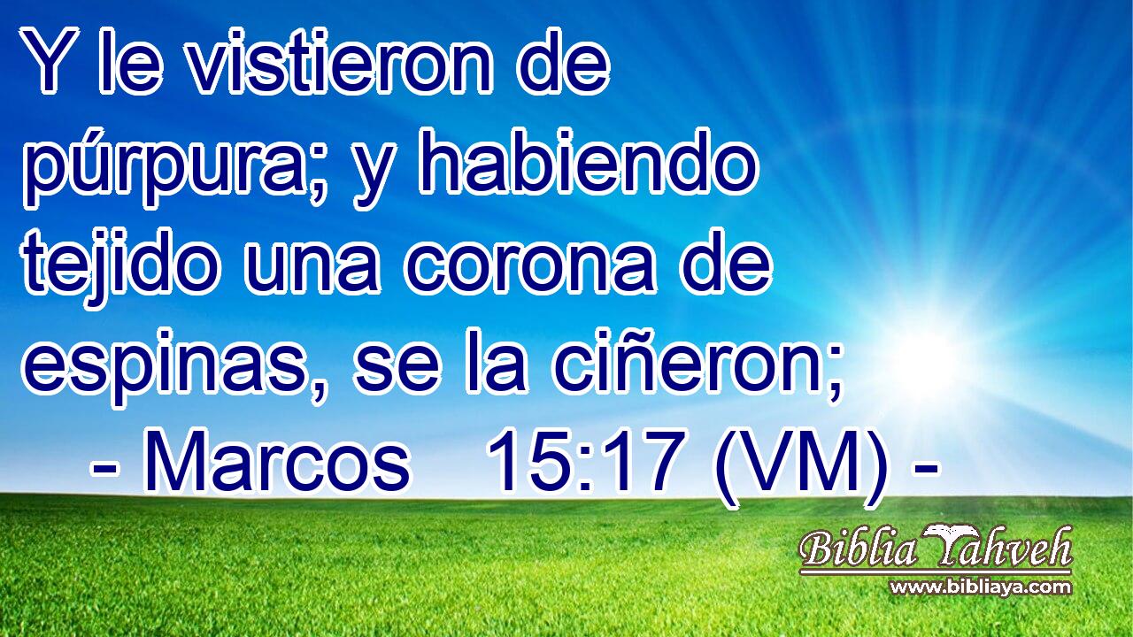  Y le vistieron de púrpura; y habiendo tejido una corona de espinas, se la ciñeron; 