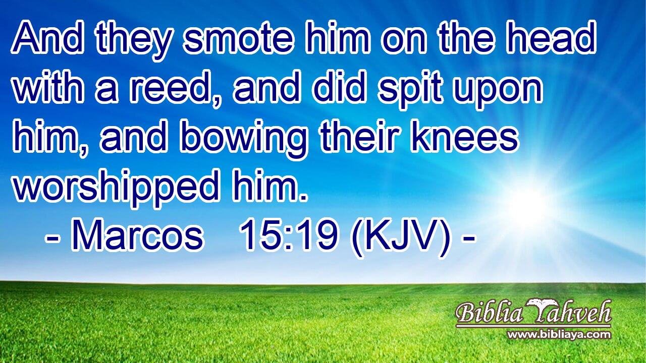 And they smote him on the head with a reed, and did spit upon him, and bowing their knees worshipped him.