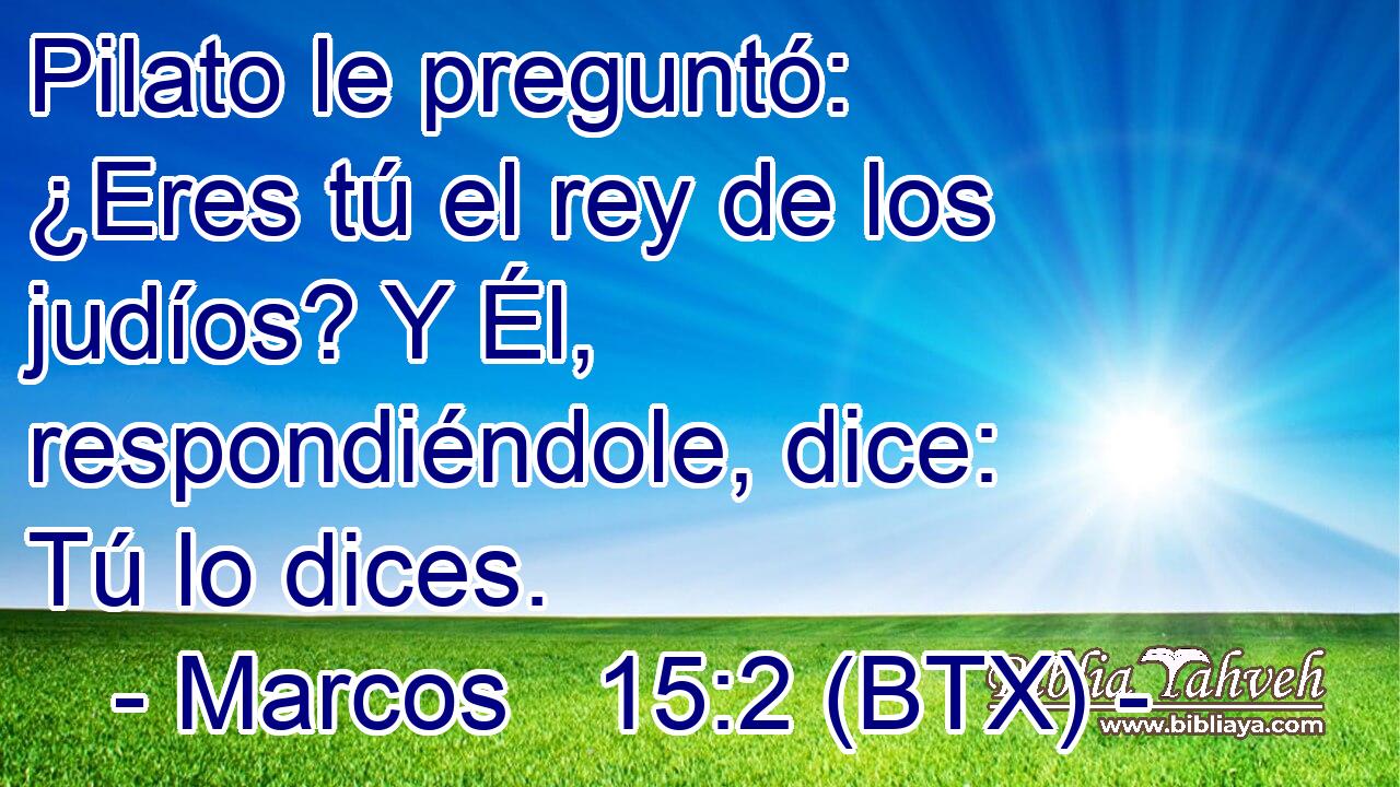 Pilato le preguntó: ¿Eres tú el rey de los judíos? Y Él, respondiéndole, dice: Tú lo dices.