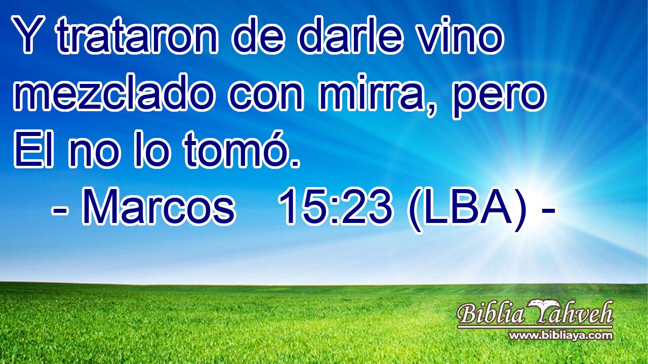 Y trataron de darle vino mezclado con mirra, pero El no lo tomó.