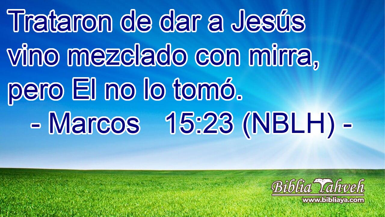  Trataron de dar a Jesús vino mezclado con mirra, pero El no lo tomó. 