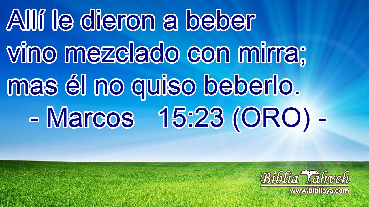  Allí le dieron a beber vino mezclado con mirra; mas él no quiso beberlo. 