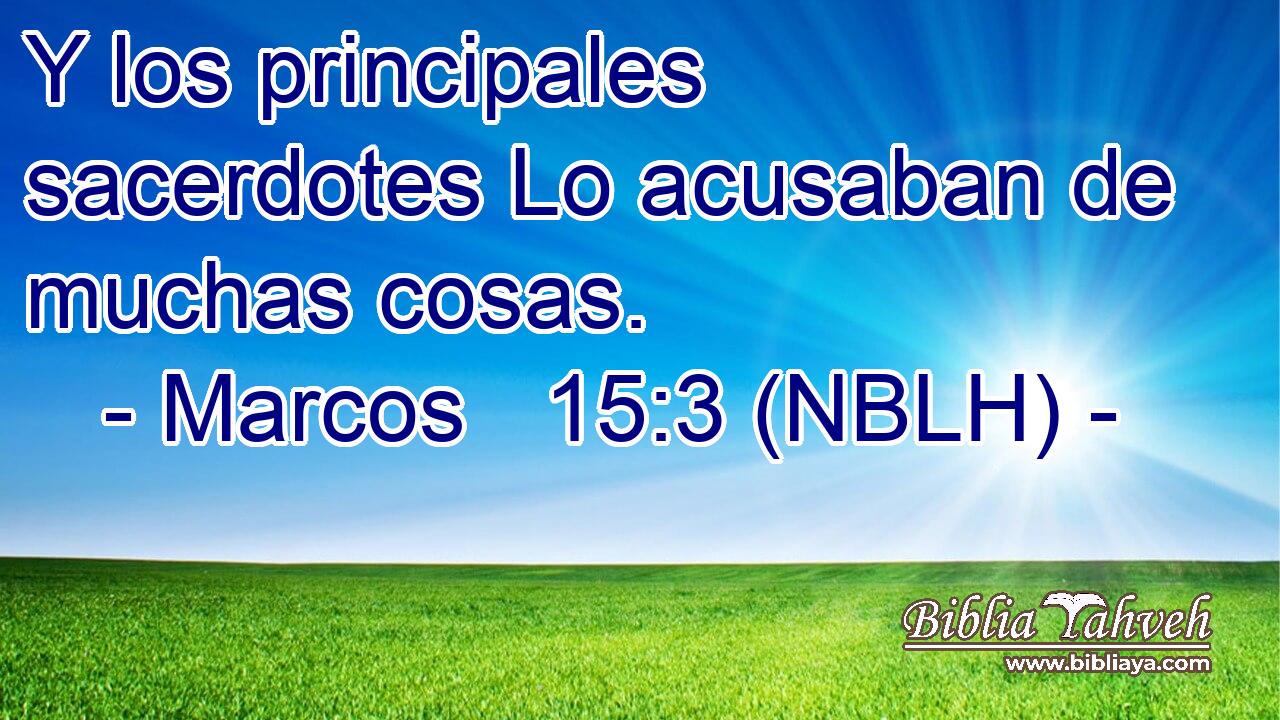  Y los principales sacerdotes Lo acusaban de muchas cosas. 