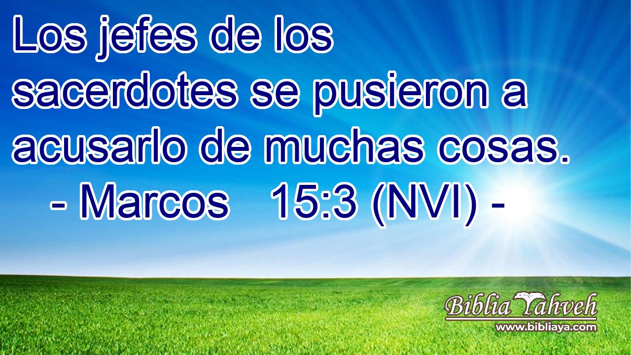  Los jefes de los sacerdotes se pusieron a acusarlo de muchas cosas. 