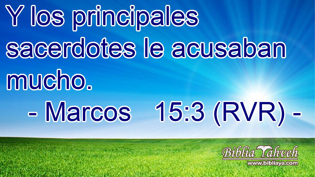 Y los principales sacerdotes le acusaban mucho.