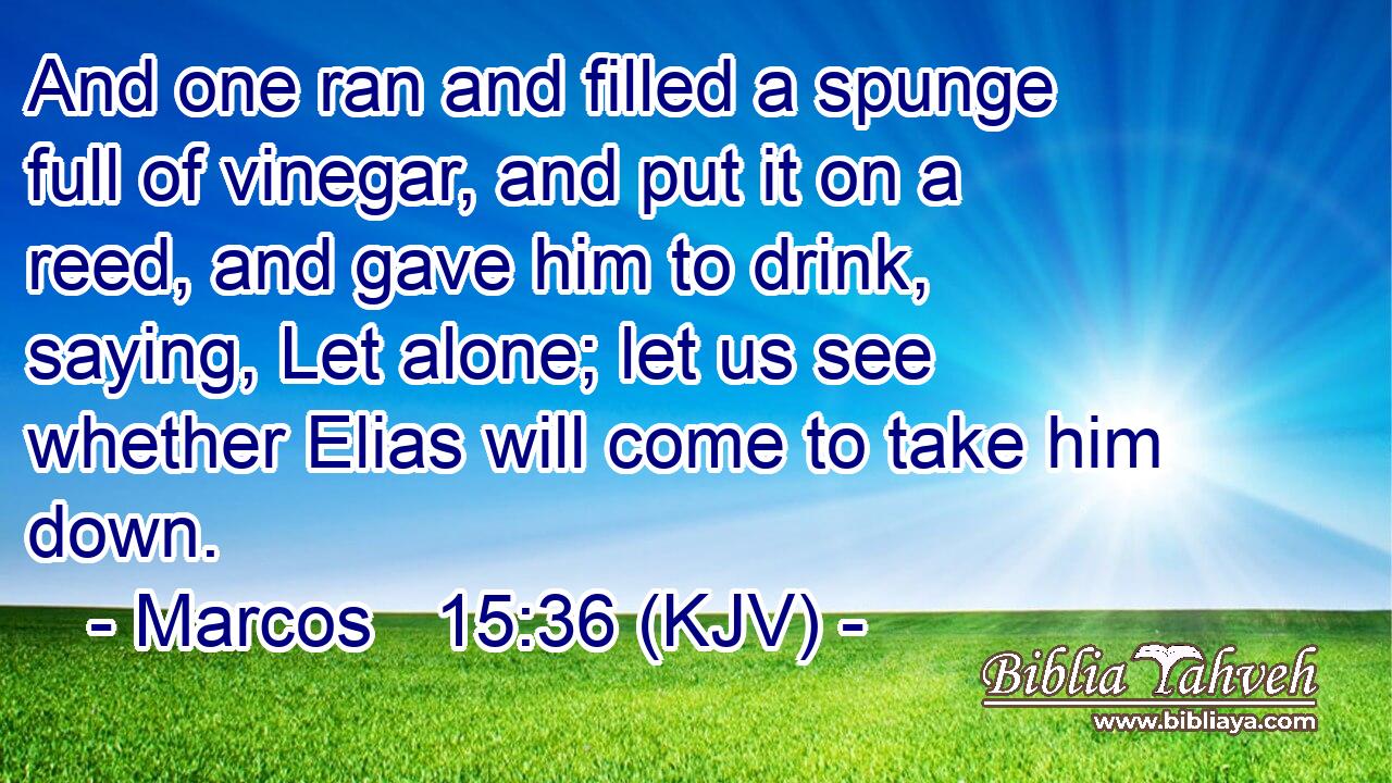And one ran and filled a spunge full of vinegar, and put it on a reed, and gave him to drink, saying, Let alone; let us see whether Elias will come to take him down.