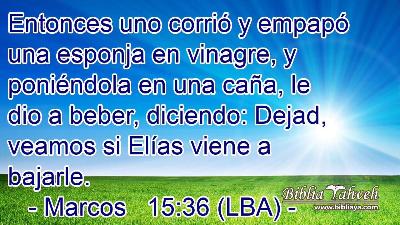 Entonces uno corrió y empapó una esponja en vinagre, y poniéndola en una caña, le dio a beber, diciendo: Dejad, veamos si Elías viene a bajarle.