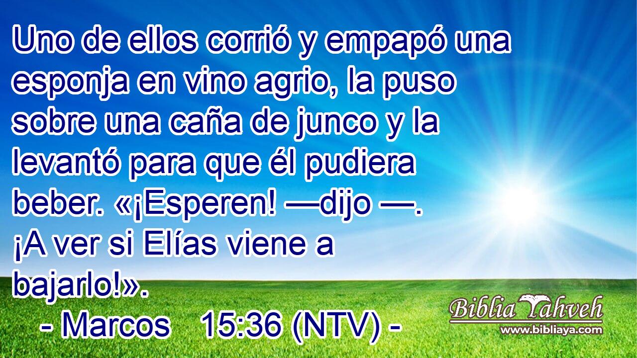 Uno de ellos corrió y empapó una esponja en vino agrio, la puso sobre una caña de junco y la levantó para que él pudiera beber. «¡Esperen! —dijo —. ¡A ver si Elías viene a bajarlo!».