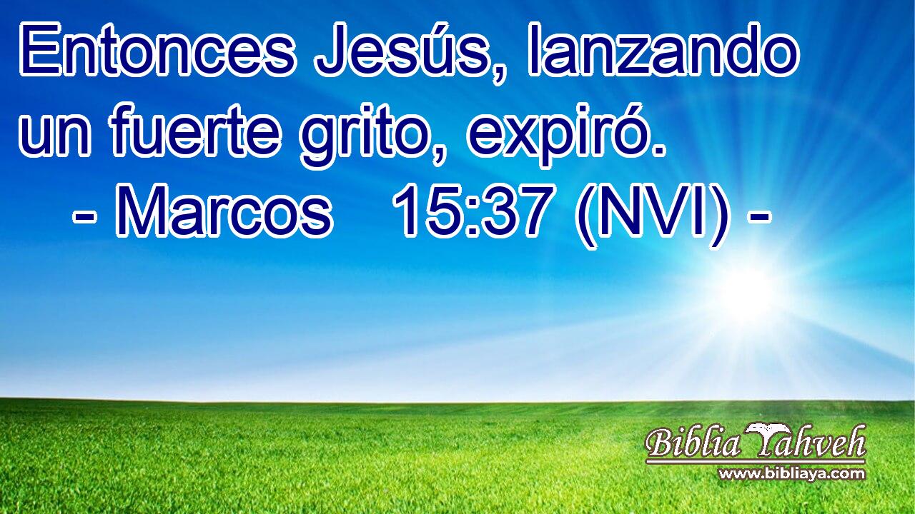  Entonces Jesús, lanzando un fuerte grito, expiró. 