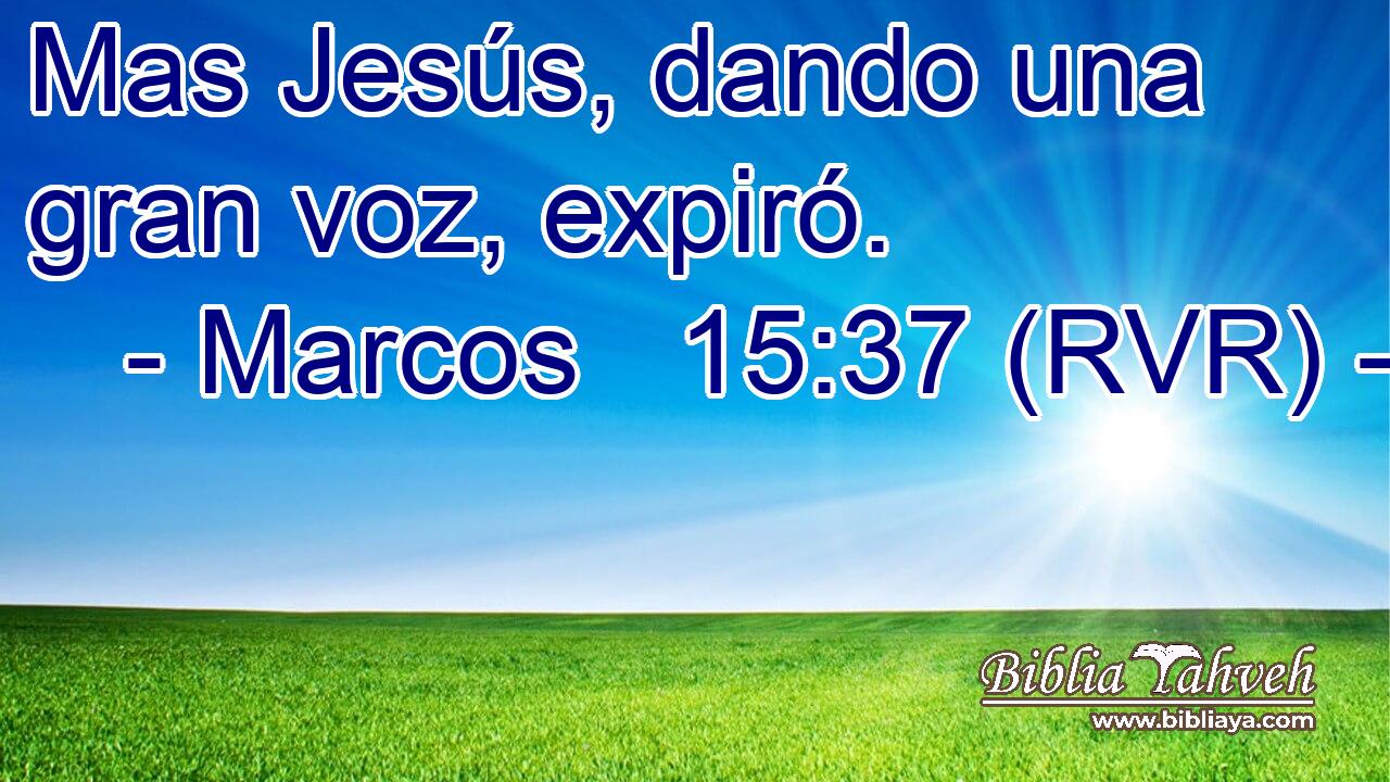 Mas Jesús, dando una gran voz, expiró.