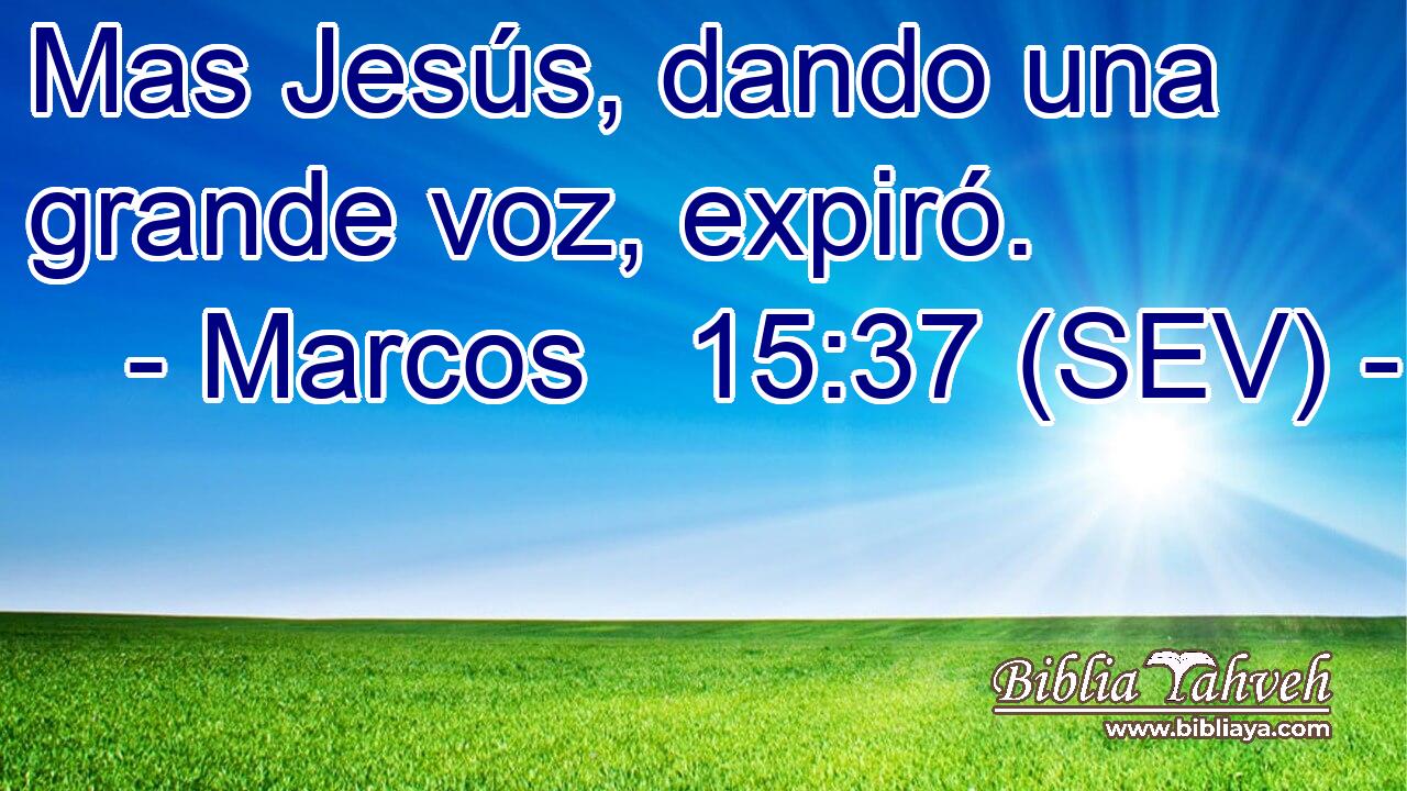 Mas Jesús, dando una grande voz, expiró.