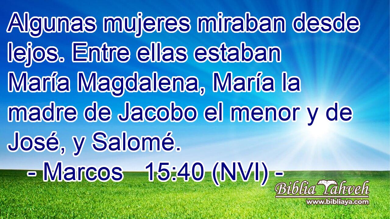  Algunas mujeres miraban desde lejos. Entre ellas estaban María Magdalena, María la madre de Jacobo el menor y de José, y Salomé. 