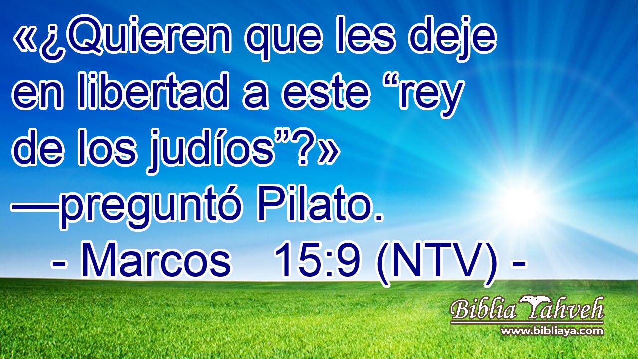 «¿Quieren que les deje en libertad a este “rey de los judíos”?» —preguntó Pilato.