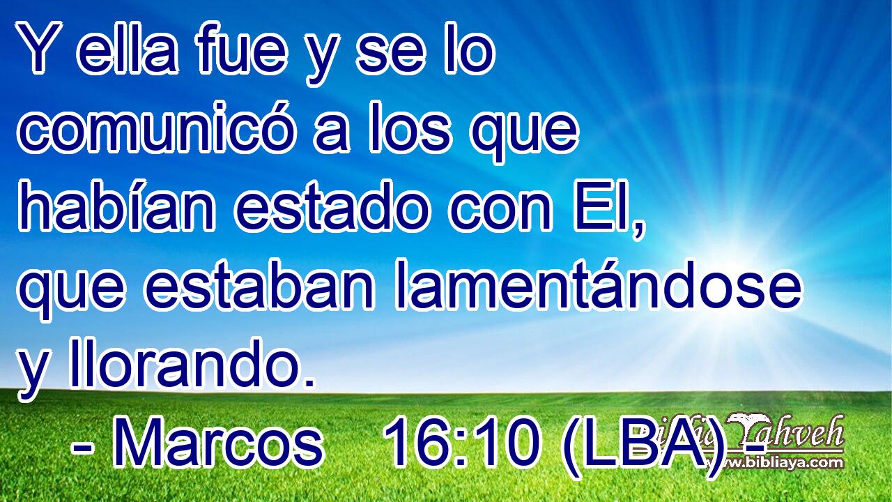 Y ella fue y se lo comunicó a los que habían estado con El, que estaban lamentándose y llorando.
