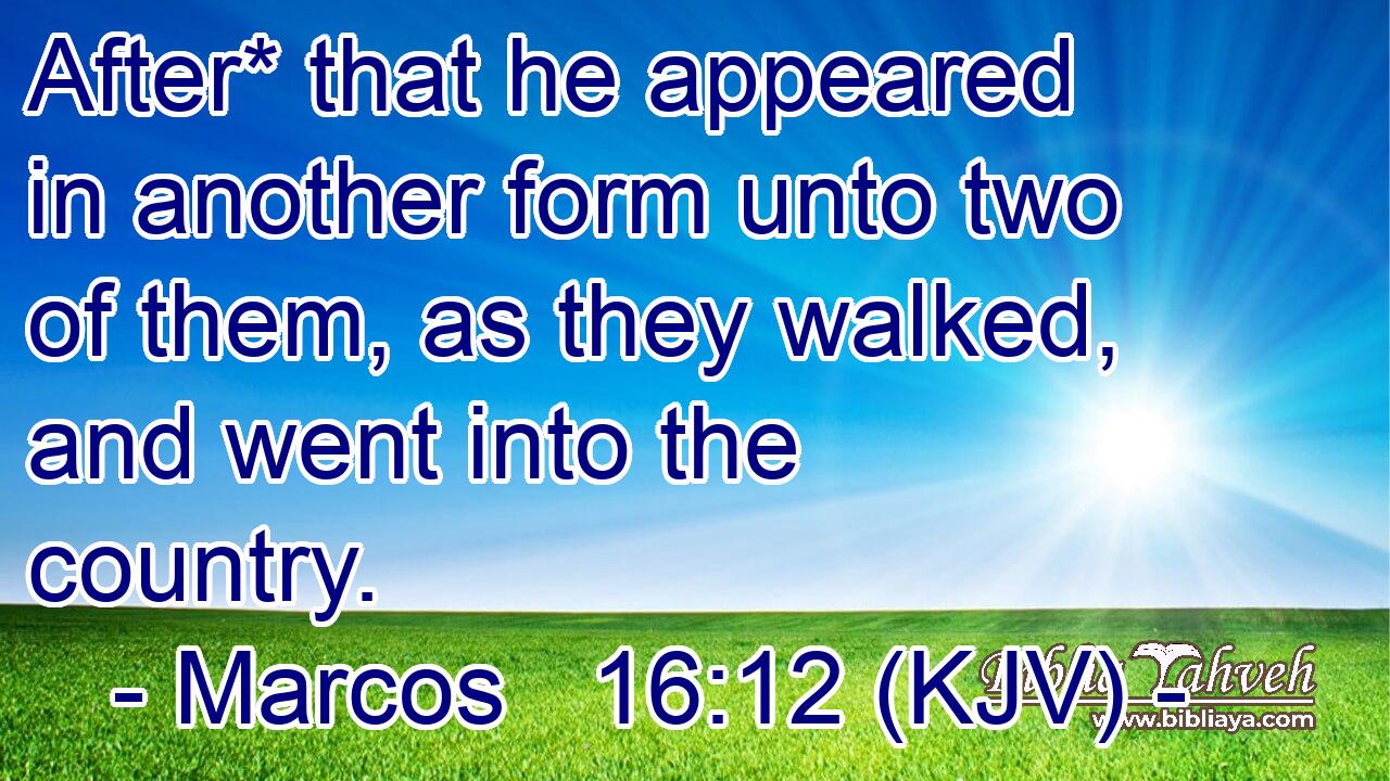 After* that he appeared in another form unto two of them, as they walked, and went into the country.