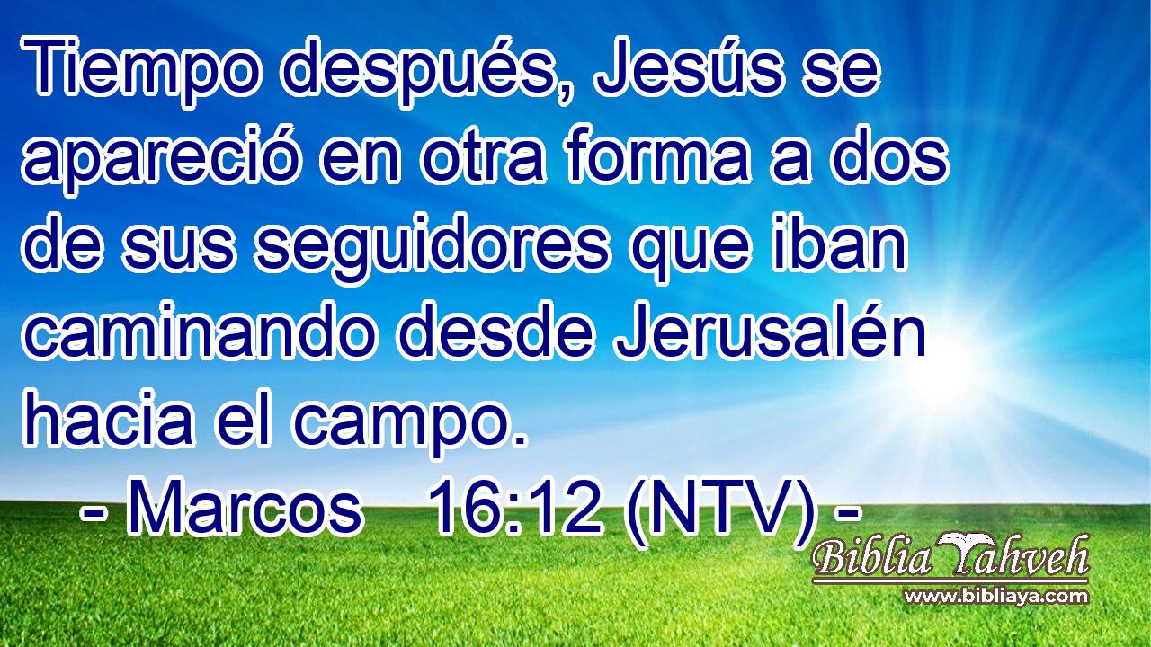 Tiempo después, Jesús se apareció en otra forma a dos de sus seguidores que iban caminando desde Jerusalén hacia el campo.