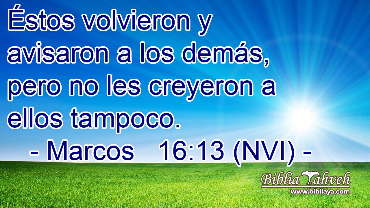  Éstos volvieron y avisaron a los demás, pero no les creyeron a ellos tampoco. 