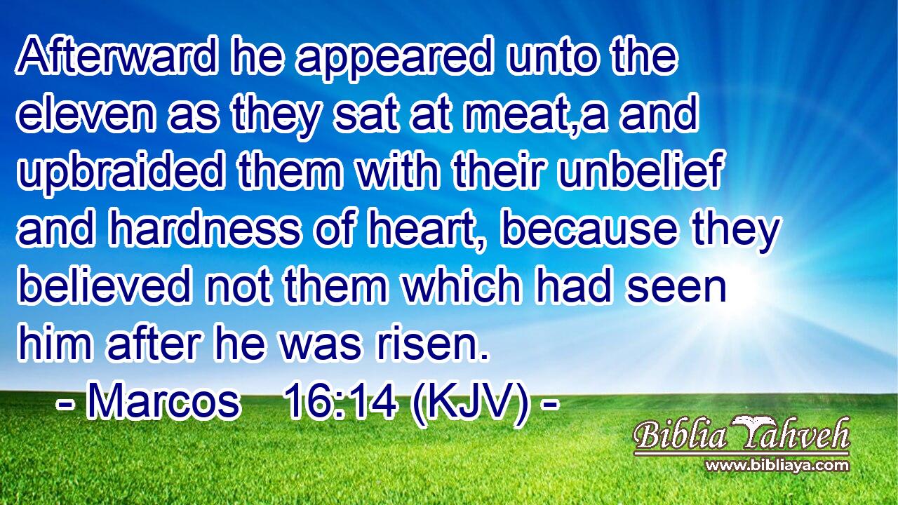 Afterward he appeared unto the eleven as they sat at meat,a and upbraided them with their unbelief and hardness of heart, because they believed not them which had seen him after he was risen.