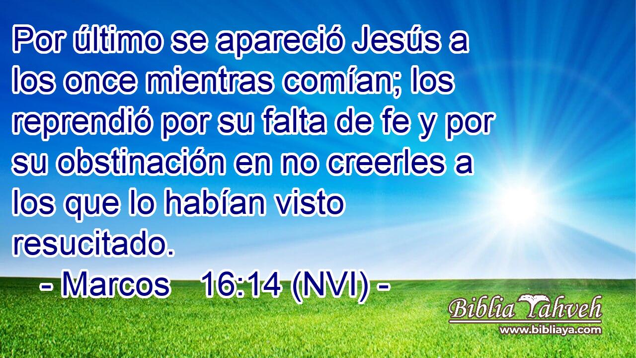  Por último se apareció Jesús a los once mientras comían; los reprendió por su falta de fe y por su obstinación en no creerles a los que lo habían visto resucitado. 