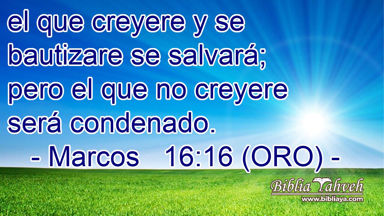  el que creyere y se bautizare se salvará; pero el que no creyere será condenado. 