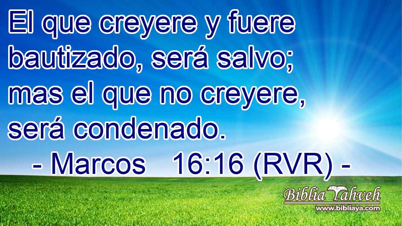 El que creyere y fuere bautizado, será salvo; mas el que no creyere, será condenado.