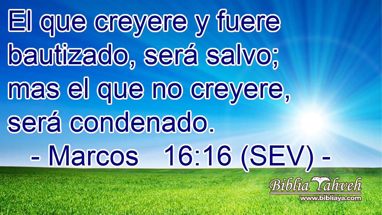 El que creyere y fuere bautizado, será salvo; mas el que no creyere, será condenado.