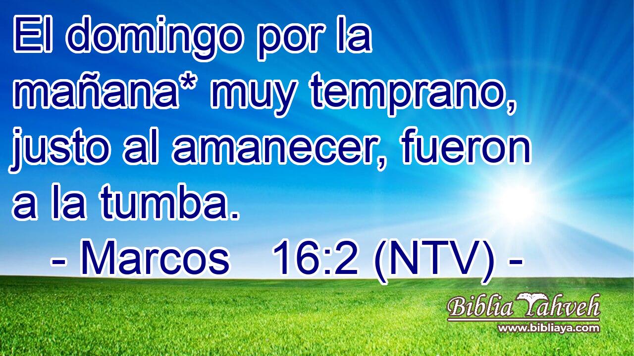 El domingo por la mañana* muy temprano, justo al amanecer, fueron a la tumba.