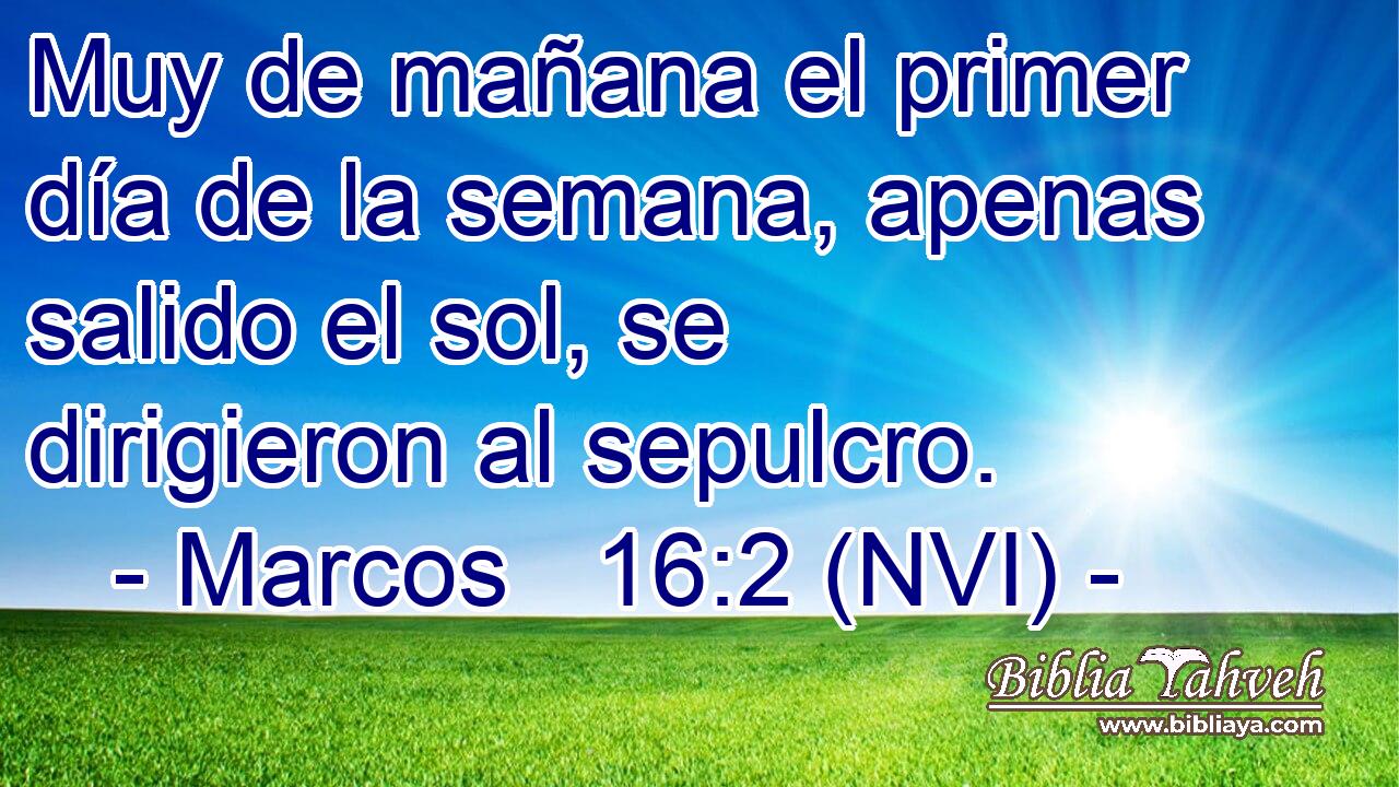 Muy de mañana el primer día de la semana, apenas salido el sol, se dirigieron al sepulcro. 